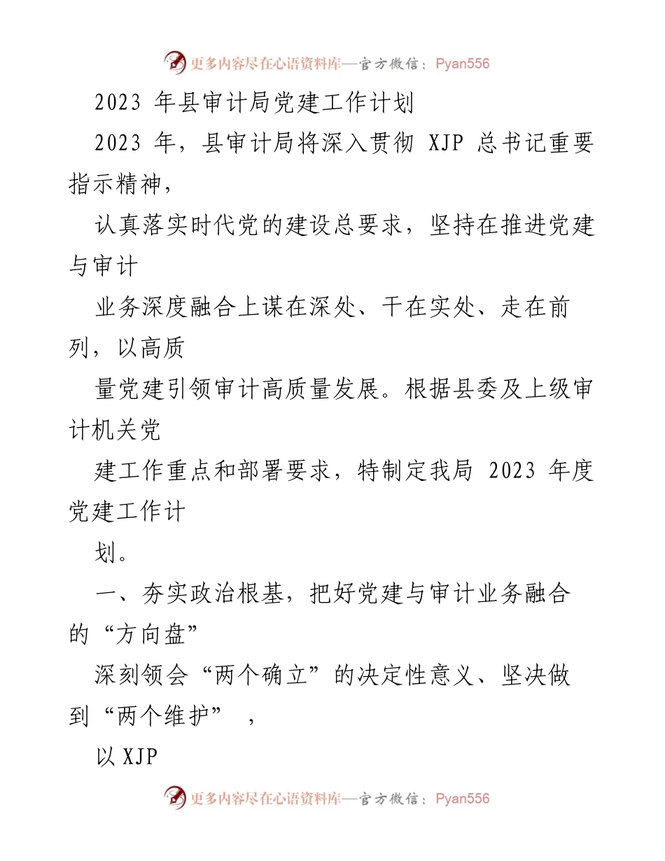 [工作计划] 审计局 - 2023年度党建工作计划及实施方案.docx_第1页