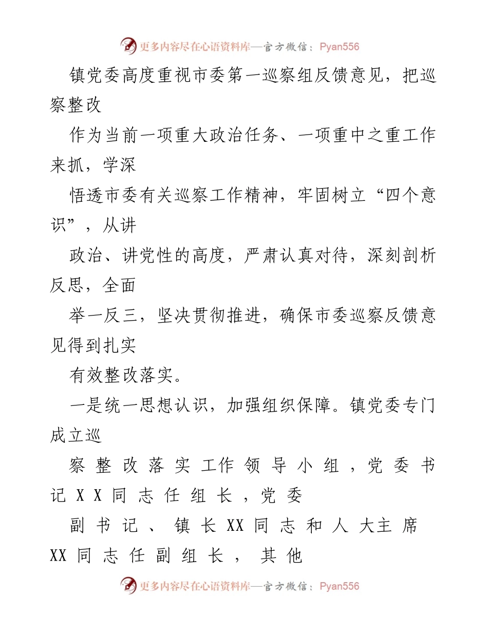 [整改报告] 巡察反馈 - 巡察反馈意见整改工作总结报告.docx_第2页