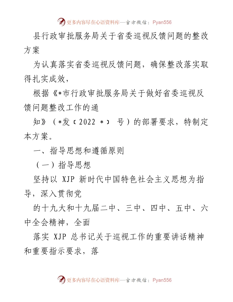 [整改方案] 行政审批服务局 - 省委巡视反馈问题整改方案.docx_第1页