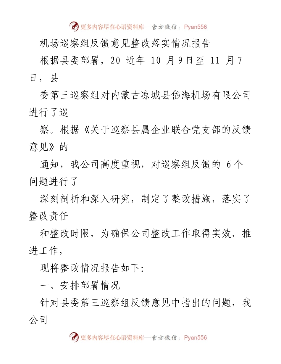 [整改报告] 巡察反馈 - 机场公司整改落实情况总结.docx_第1页