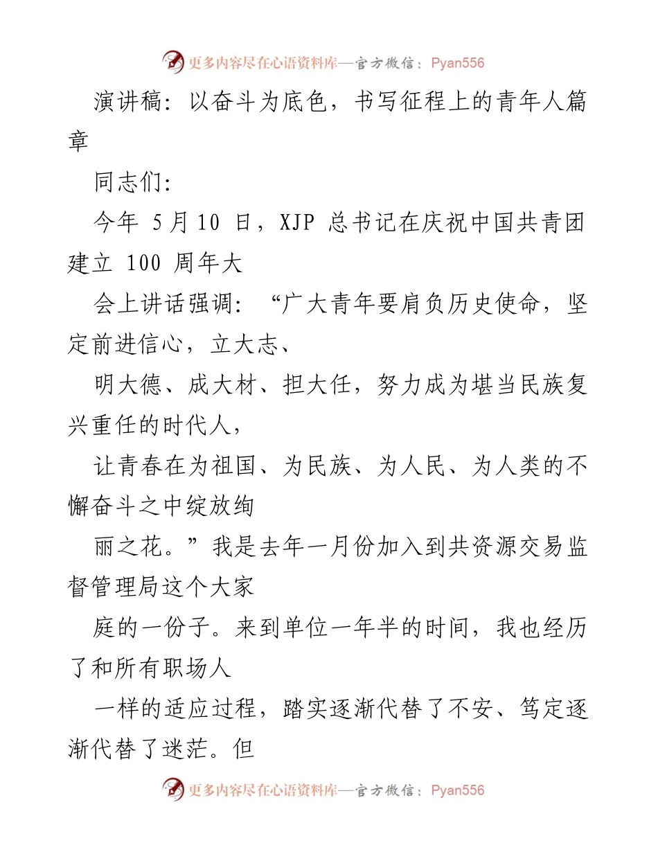 [演讲稿] 青年团体大会 - 奋斗青春，追寻先进模范之路.docx_第1页