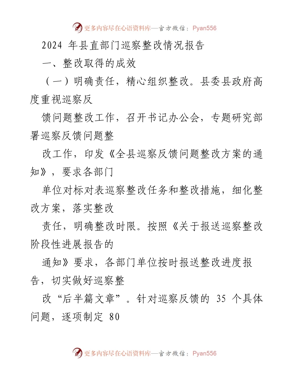 [整改报告] 县直部门巡察 - 2024年县直部门巡察整改情况总结报告.docx_第1页