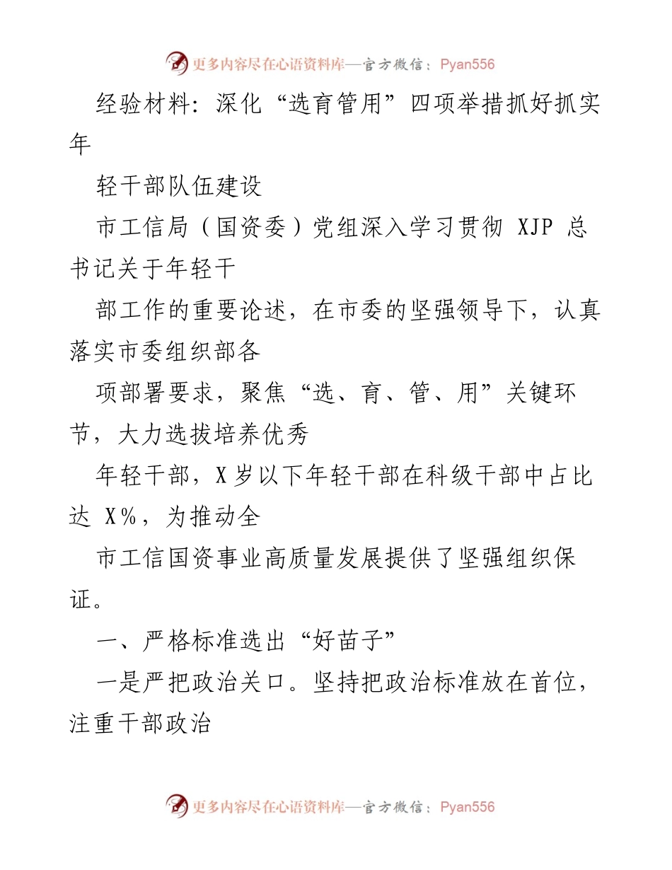 [经验材料] 年轻干部队伍建设 - 深化“四项举措”推动年轻干部队伍建设.docx_第1页