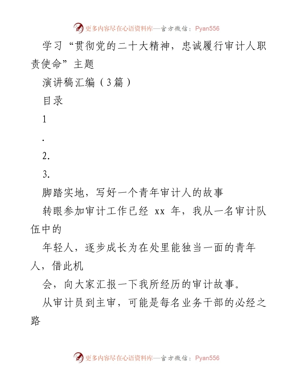 [演讲稿] 学习贯彻党的二十大精神 - 青年审计人的成长与责任.docx_第1页