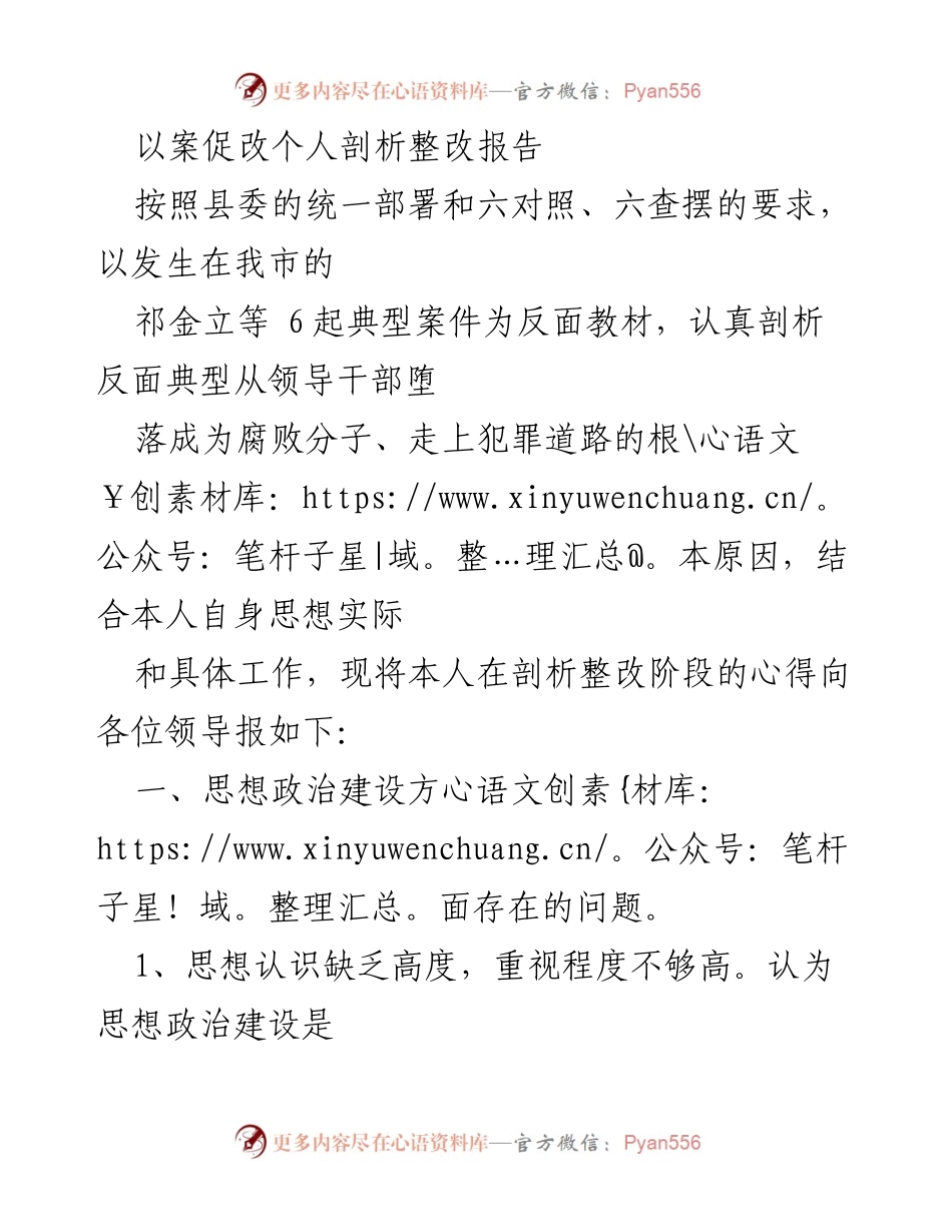[整改报告] 党内政治生活 - 以案促改个人剖析整改报告.docx_第1页
