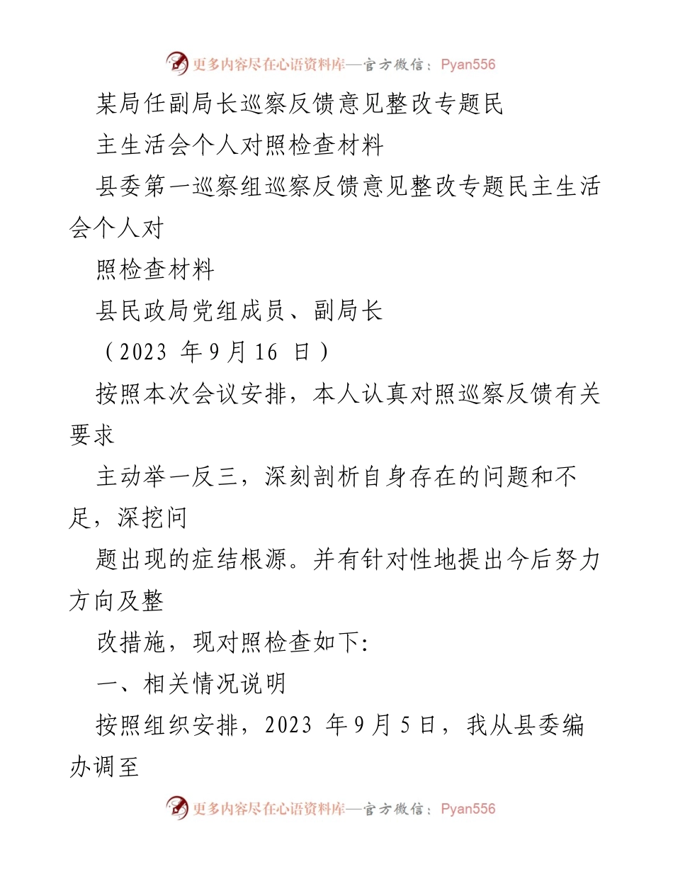 [民主生活会] 巡察整改 - 副局长个人对照检查材料及整改措施.docx_第1页