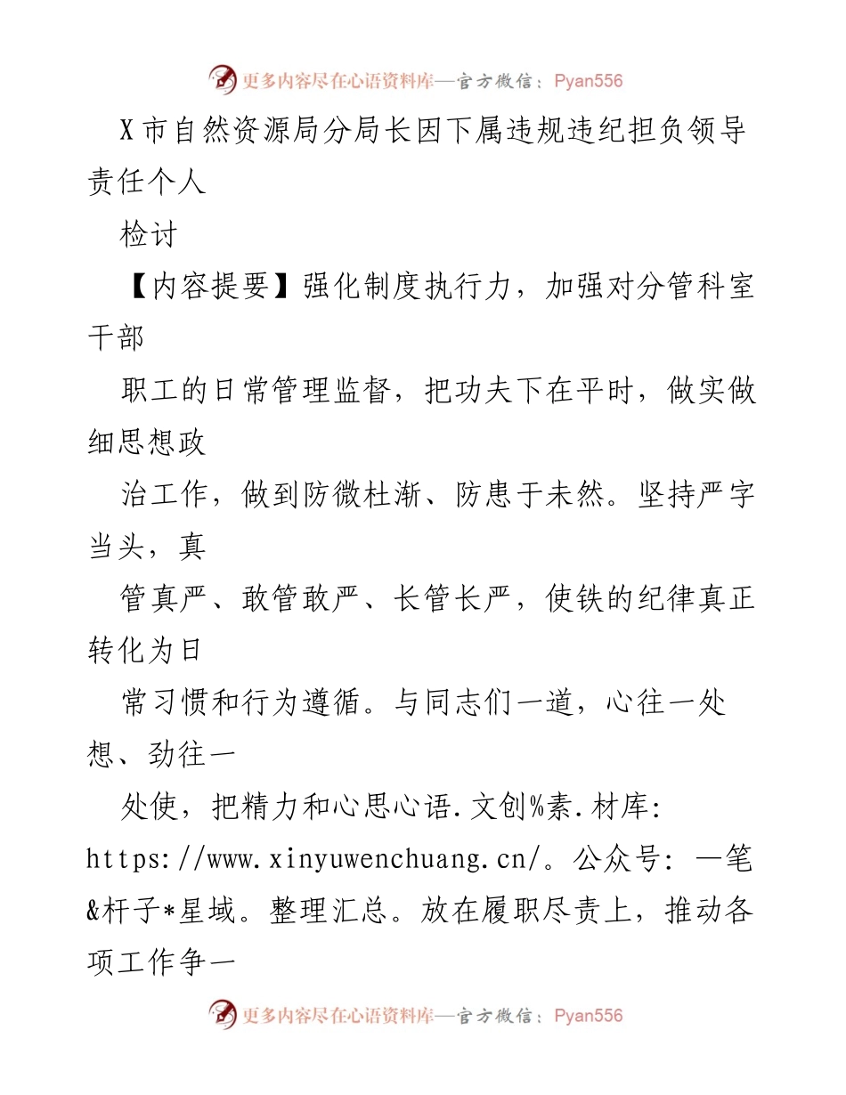 [检讨] 自然资源局 - 反思与整改：加强领导责任与制度执行力.docx_第1页