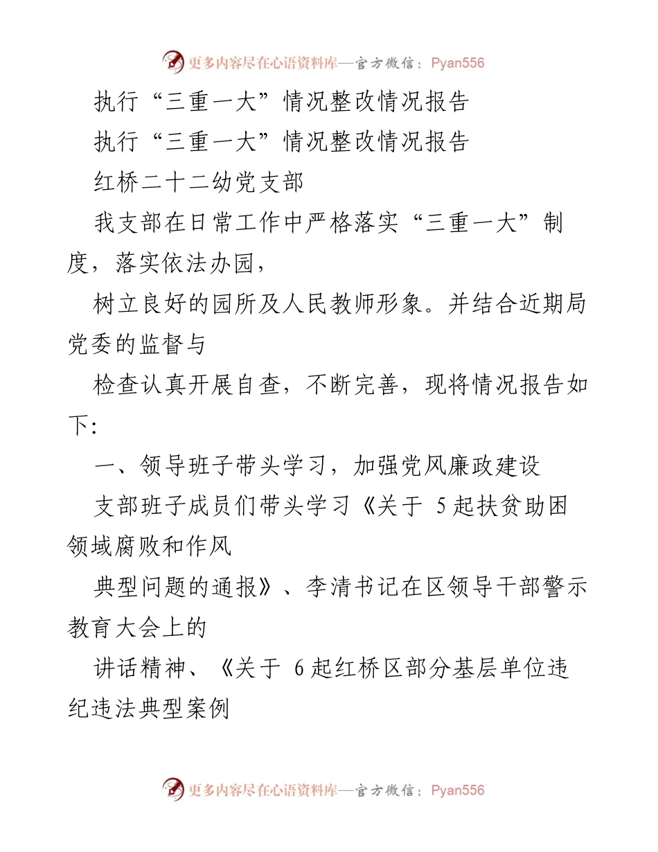 [整改报告] 幼儿园党支部 - 执行“三重一大”制度的整改情况总结.docx_第1页