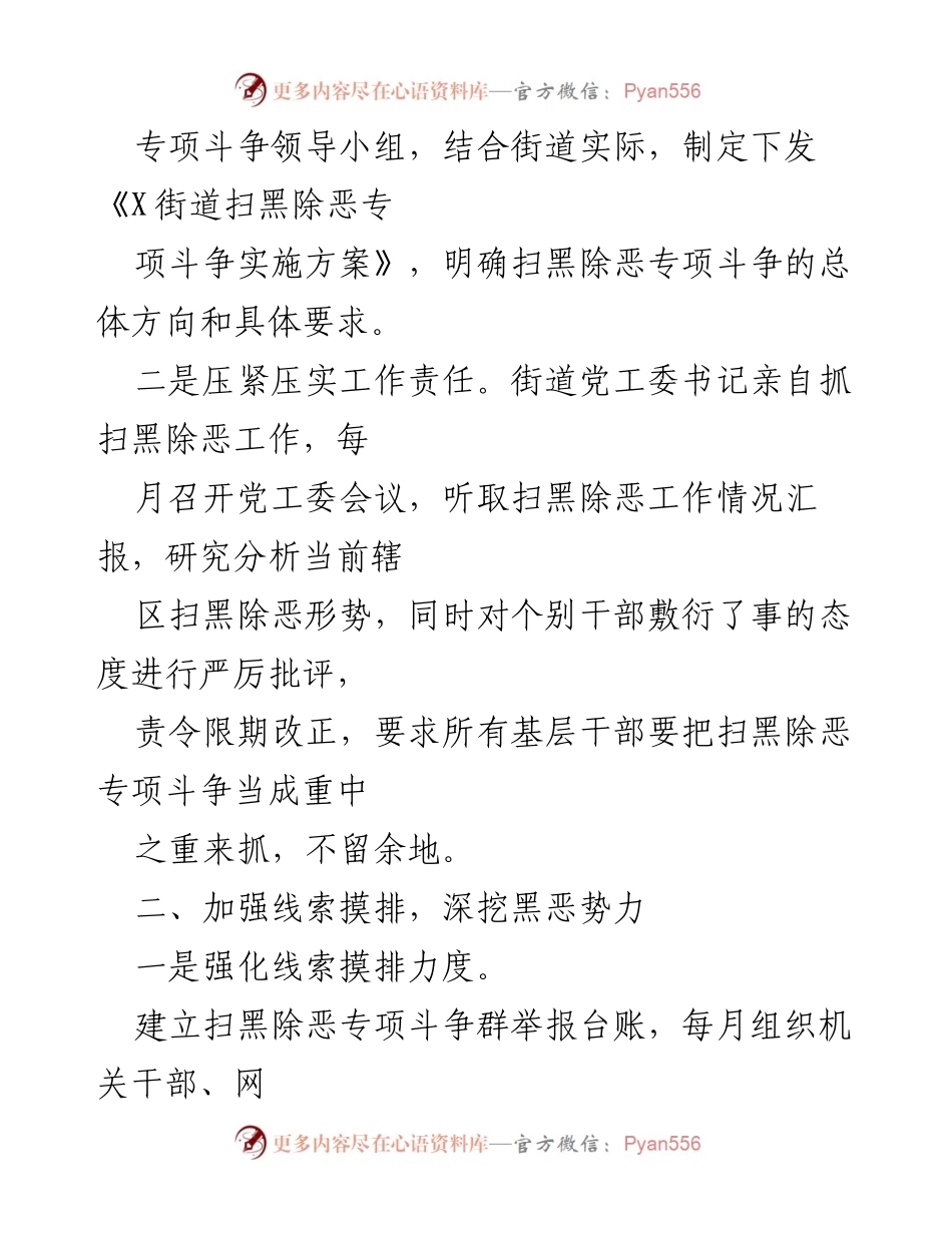[经验材料] 工作总结 - 深入推进扫黑除恶专项斗争的四项工作举措.docx_第2页