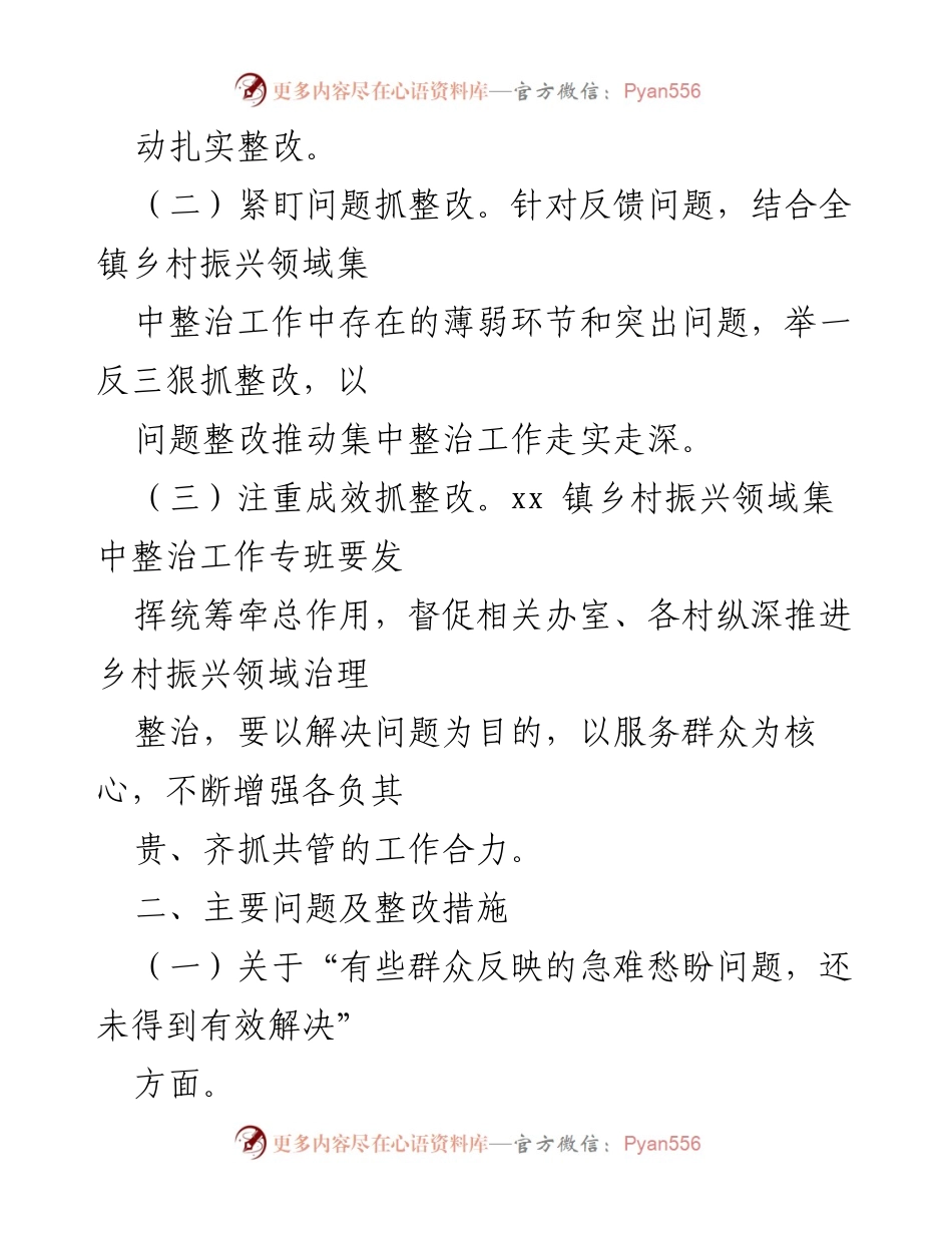 [整改方案] 乡村振兴领域 - XX镇乡村振兴领域集中整治工作整改方案.docx_第2页