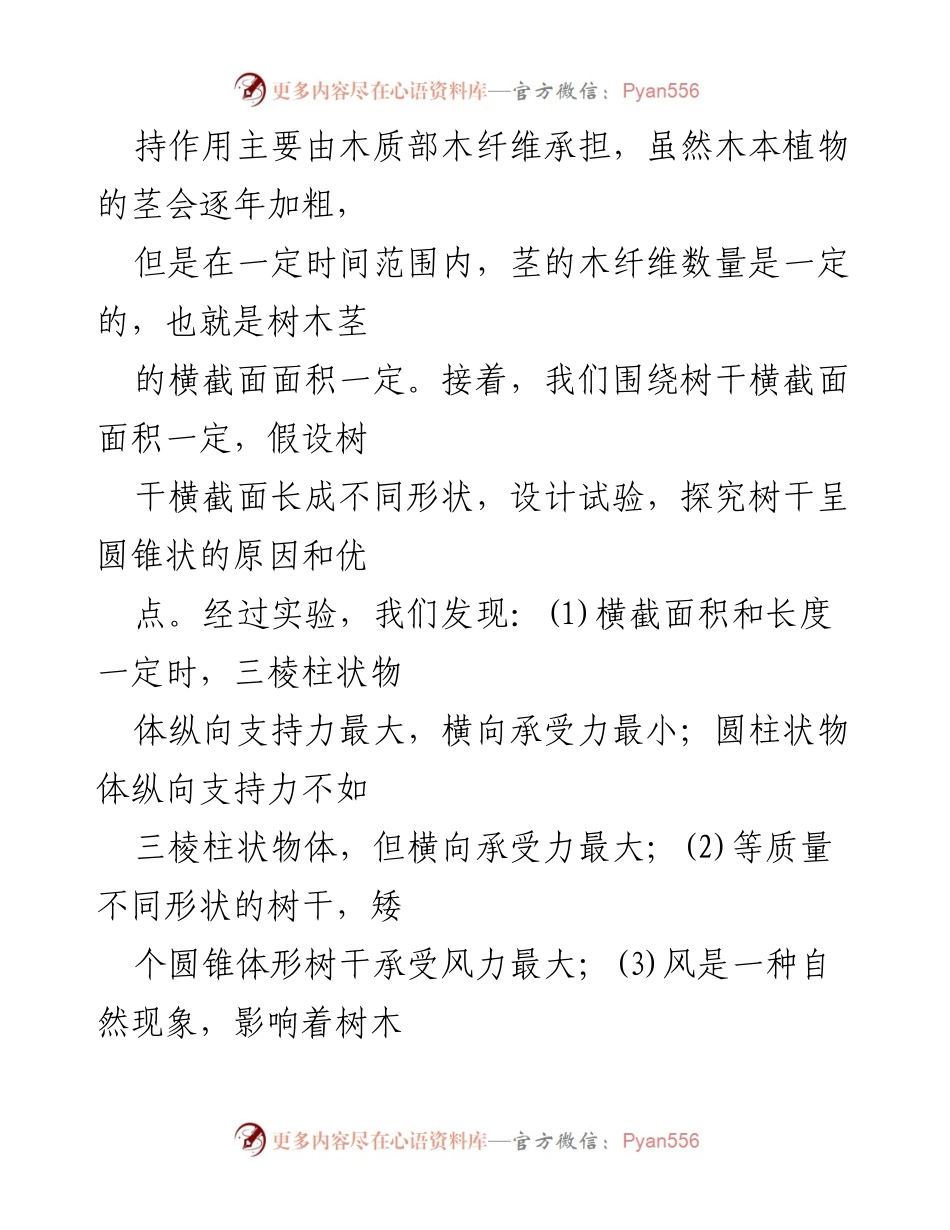 [科技小论文] 学术交流 - 探索树干圆锥状的科学奥秘.docx_第2页