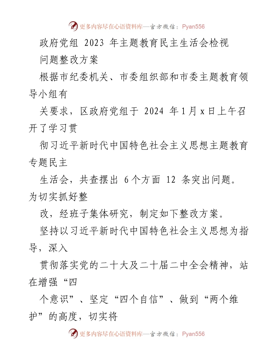[整改方案] 政府党组 - 2023年主题教育民主生活会问题整改方案.docx_第1页