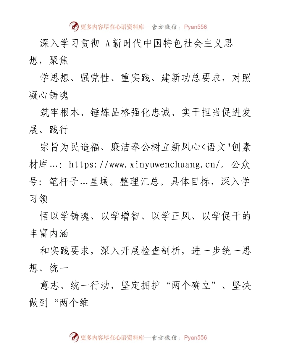 [整改落实方案] 主题教育专题民主生活会 - 强化班子建设，推动高质量发展.docx_第2页