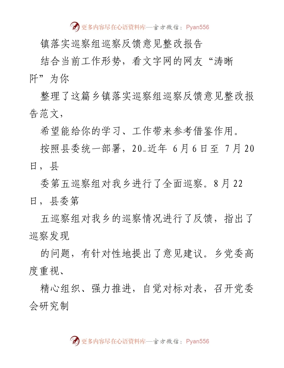 [整改报告] 乡镇巡察 - 乡镇巡察反馈意见整改工作总结.docx_第1页