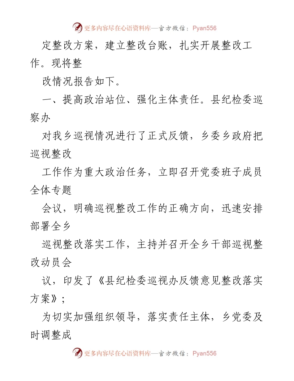 [整改报告] 乡镇巡察 - 乡镇巡察反馈意见整改工作总结.docx_第2页