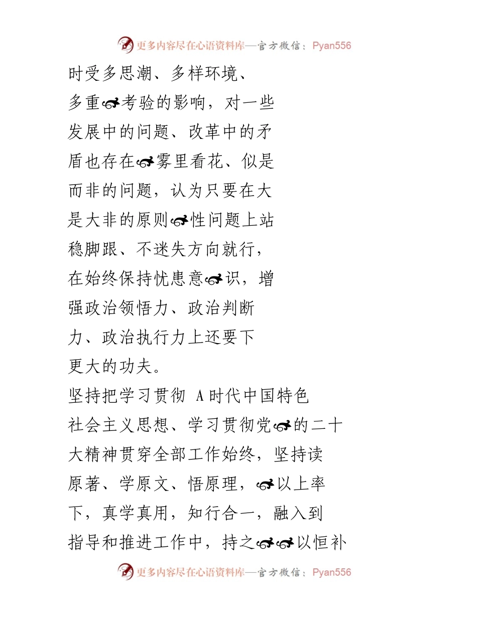 [整改台账] 主题教育 - 2023年主题教育“政治素质”方面问题检视与整改总结.docx_第2页