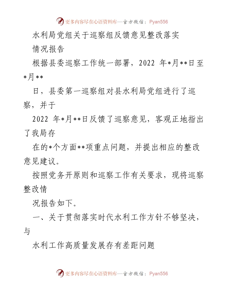 [情况报告] 水利局巡察整改 - 水利局党组巡察反馈意见整改落实情况报告.docx_第1页