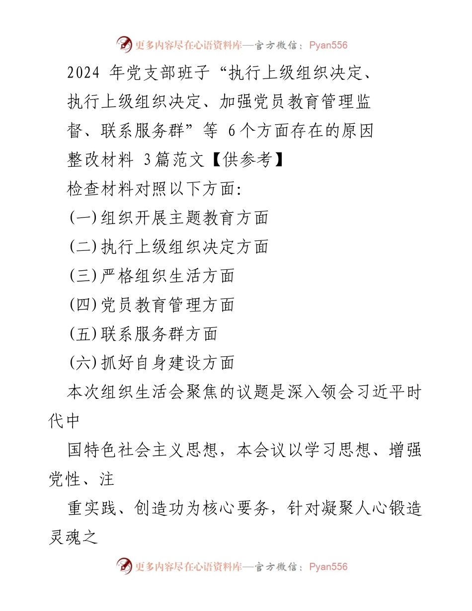 [整改材料] 党支部组织生活会 - 深入整改：提升党支部执行力与组织生活规范性.docx_第1页