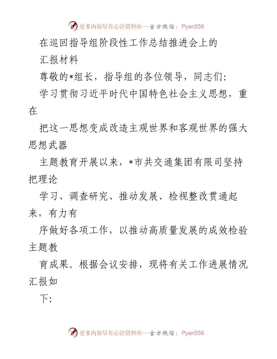 [汇报材料] 工作总结会议 - 巡回指导组阶段性工作总结与主题教育推进情况报告.docx_第1页
