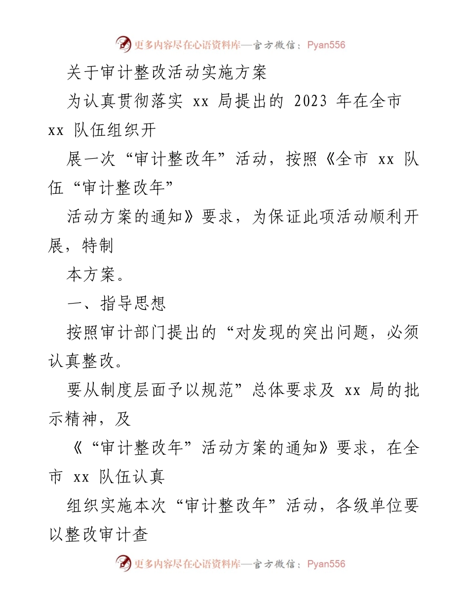 [方案] 审计整改活动 - 审计整改年活动实施方案.docx_第1页