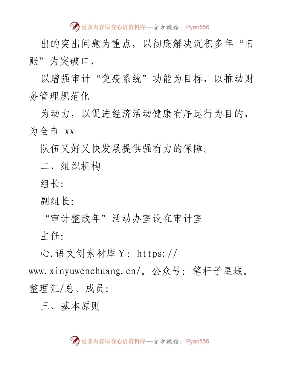 [方案] 审计整改活动 - 审计整改年活动实施方案.docx_第2页