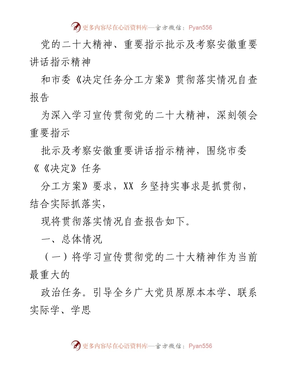 [自查报告] 党建工作 - 贯彻落实党的二十大精神情况自查报告.docx_第1页