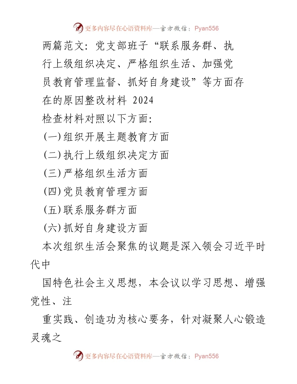 [整改材料] 组织生活会 - 党支部班子整改问题及整改方案分析.docx_第1页