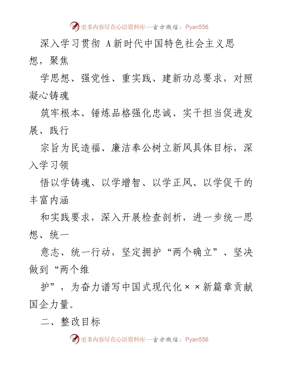 [整改落实方案] 主题教育专题民主生活会 - XX公司整改落实方案实施细则.docx_第2页