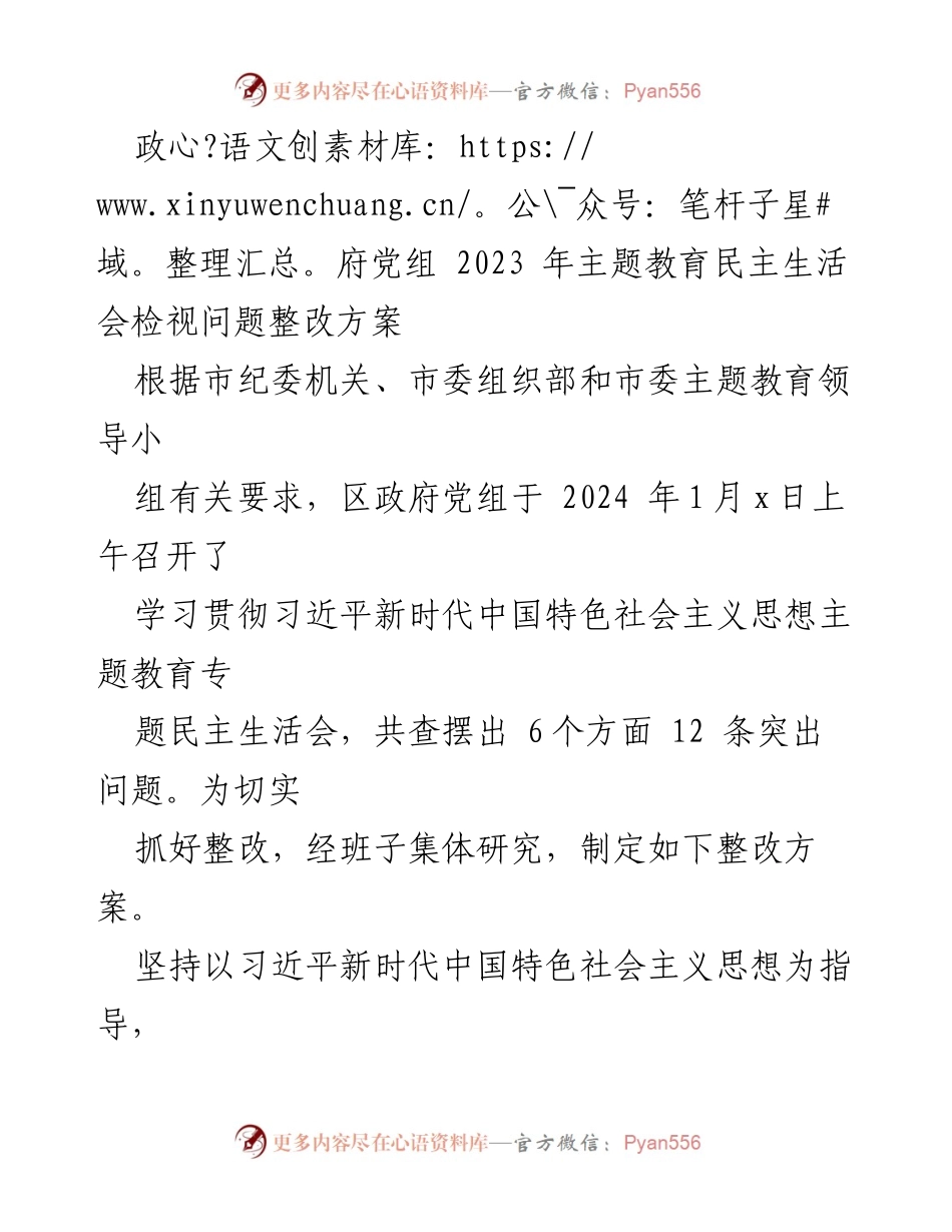 [整改方案] 政府党组民主生活会 - 2023年主题教育问题整改实施方案.docx_第1页