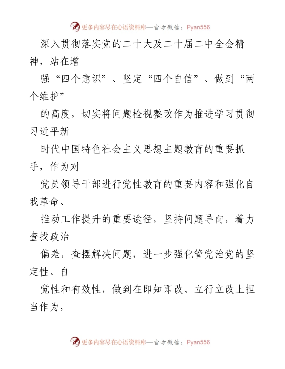 [整改方案] 政府党组民主生活会 - 2023年主题教育问题整改实施方案.docx_第2页