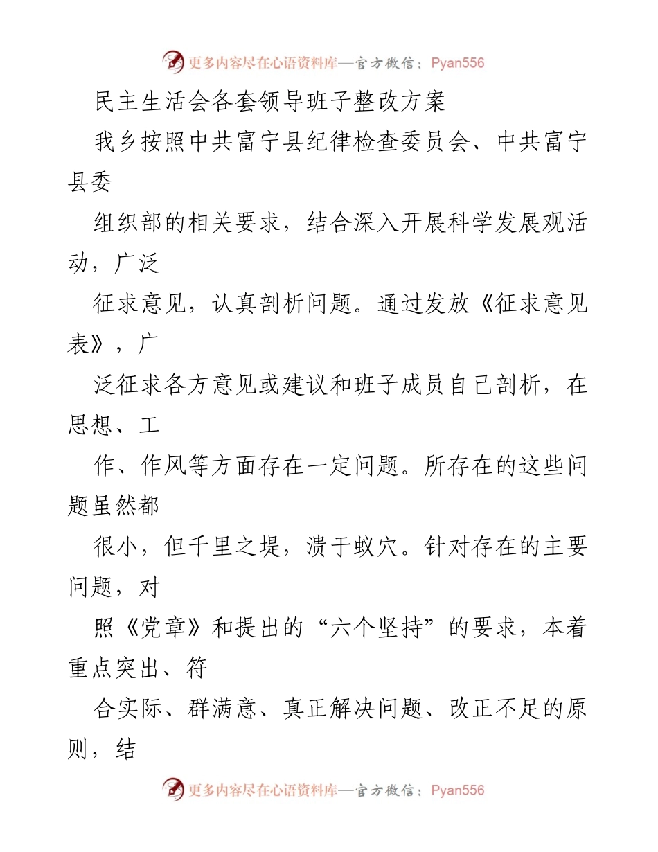 [整改方案] 民主生活会 - 乡镇领导班子整改方案总结.docx_第1页