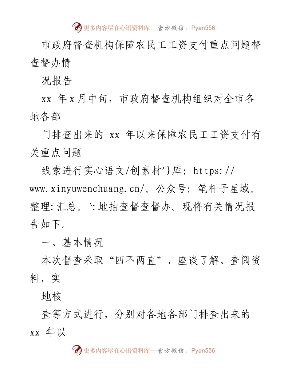 [督查报告] 市政府 - 农民工工资支付问题督查情况总结.docx_第1页