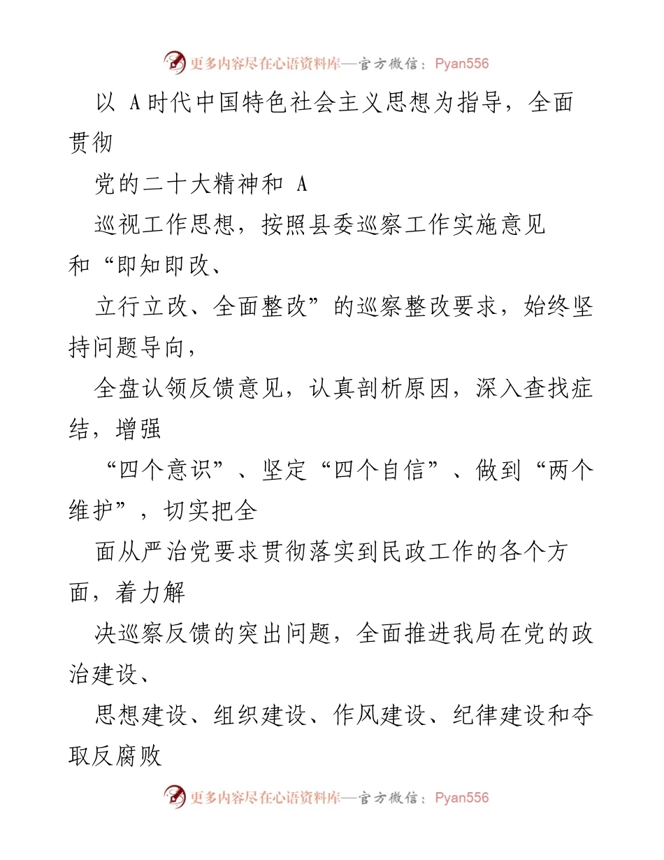 [整改方案] 巡察反馈会 - XX县民政局党组巡察反馈意见整改工作实施方案.docx_第2页