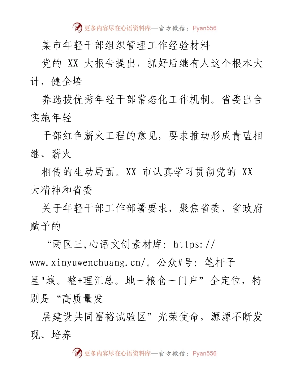 [经验材料] 年轻干部组织管理工作 - XX市年轻干部培养选拔工作经验总结.docx_第1页