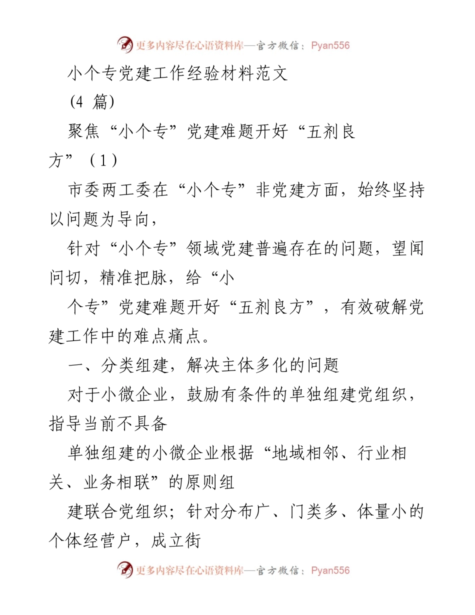 [经验材料] 党建工作会议 - 破解“小个专”党建难题的五剂良方.docx_第1页