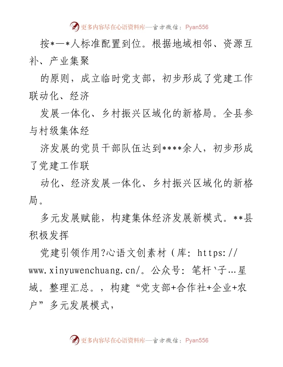 [经验交流材料] 乡村振兴研讨会 - 多元发展与党建引领：推动乡村振兴新模式.docx_第2页