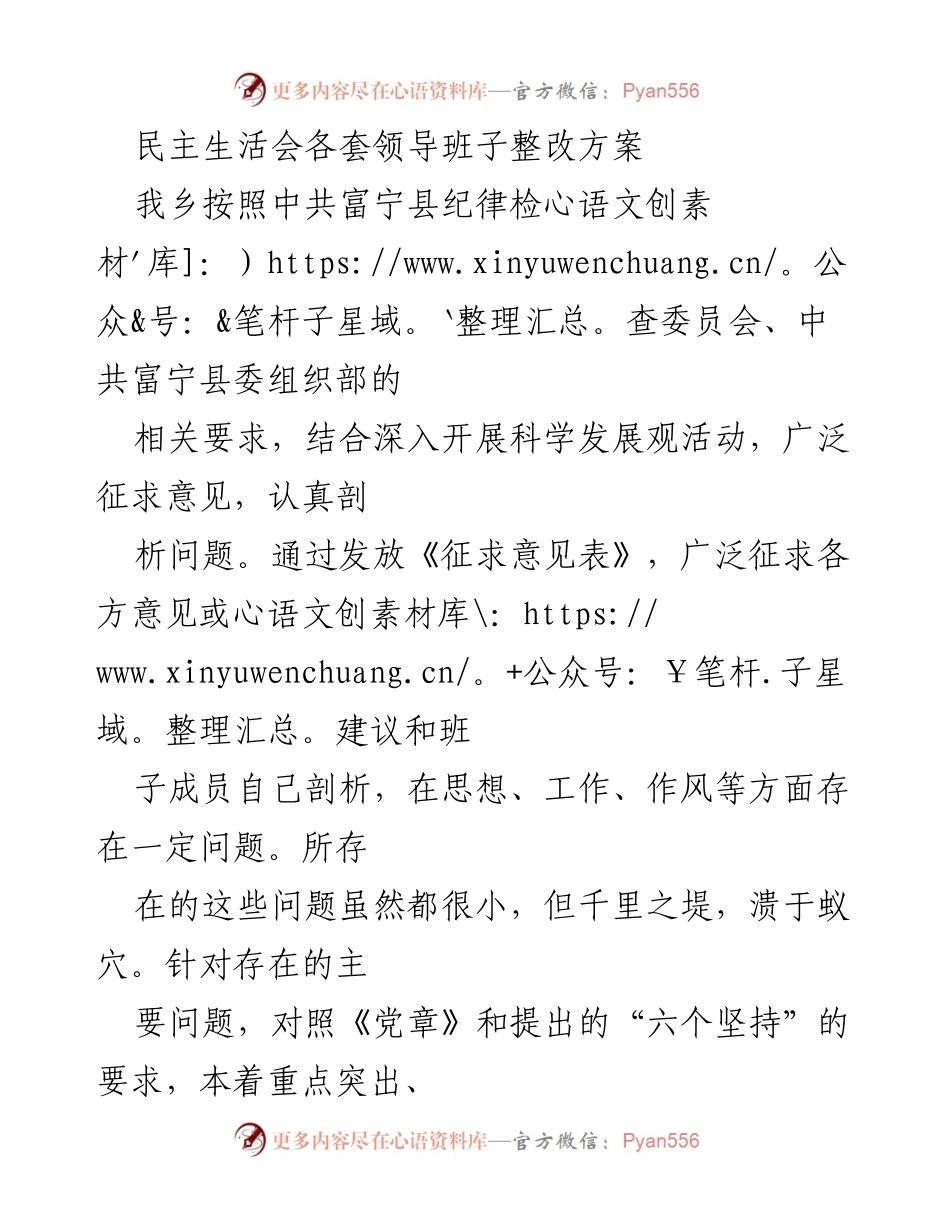 [整改方案] 民主生活会 - 乡镇领导班子整改方案概述.docx_第1页