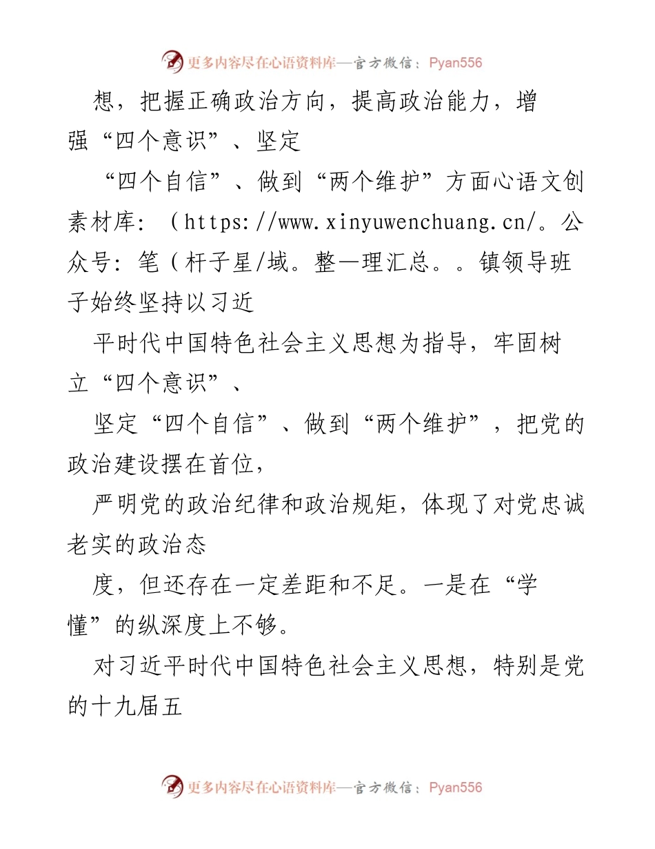 [民主生活会材料] XX镇党政领导班子 - 深入剖析XX镇领导班子在民主生活会中的问题与整改措施.docx_第2页