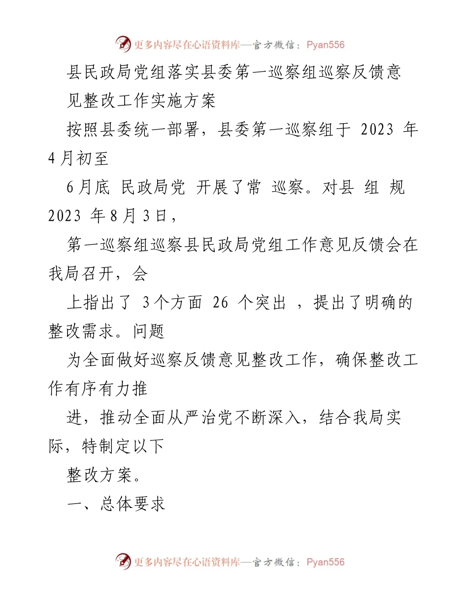 [整改方案] 巡察反馈会 - 民政局党组巡察整改工作实施方案.docx_第1页