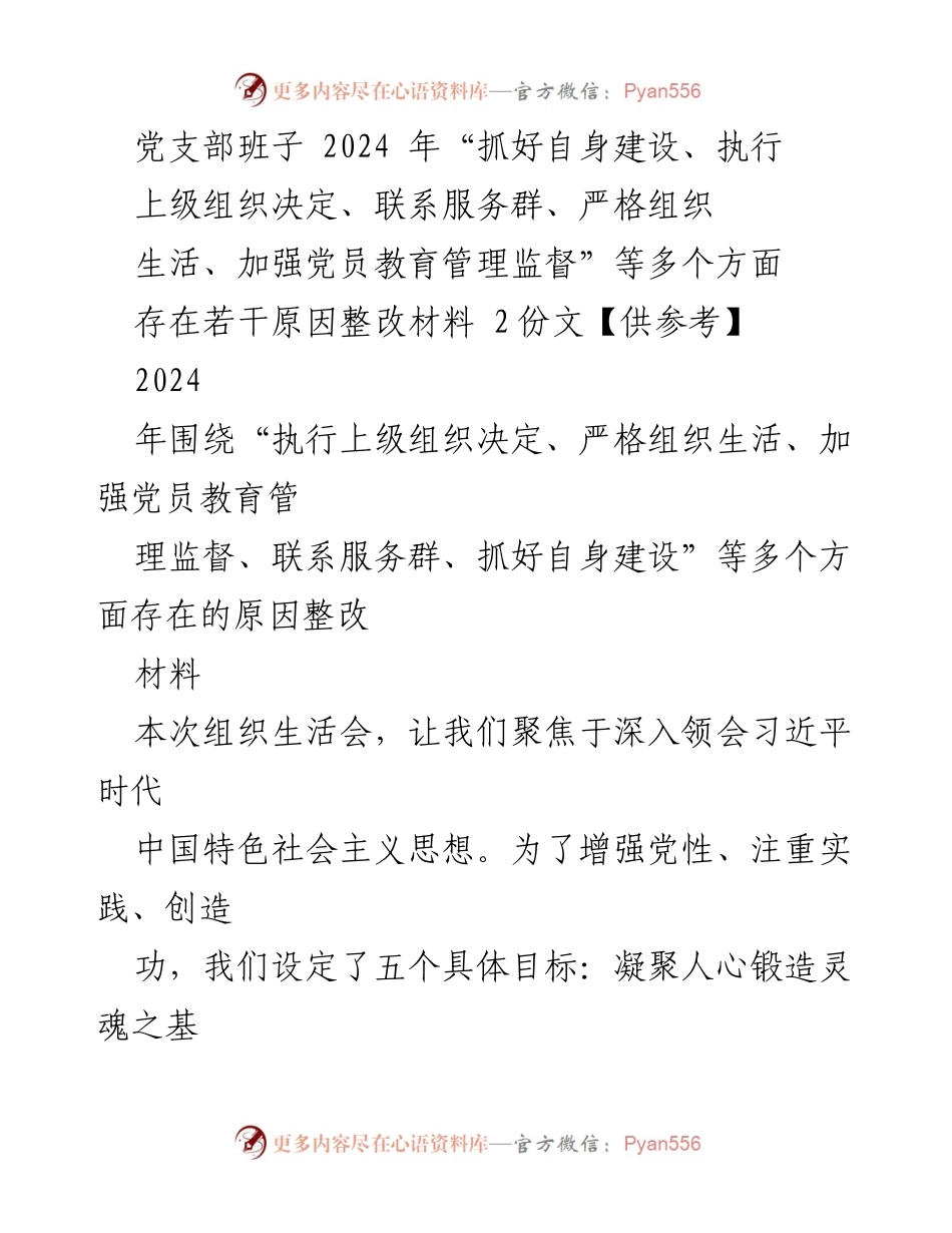 [整改材料] 组织生活会 - 深入自查自纠，推动党支部建设整改方案.docx_第1页