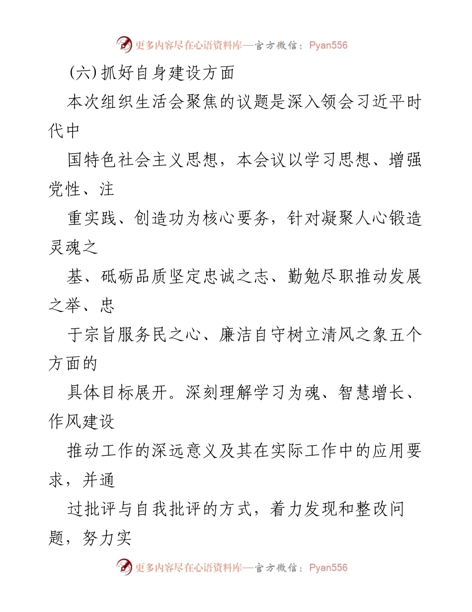 [整改材料] 党支部组织生活会 - 2024年党支部班子存在问题整改方案分析.docx_第2页