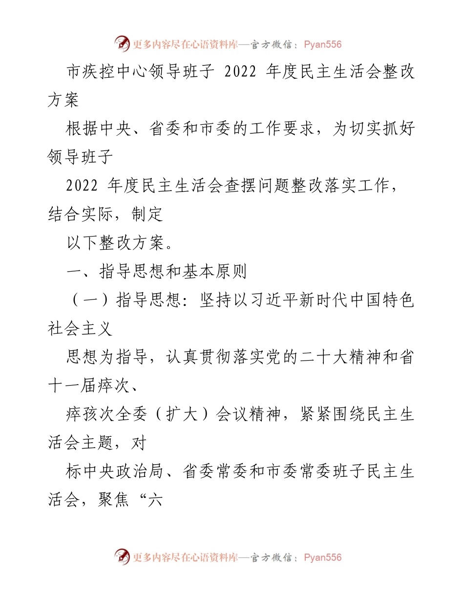 [整改方案] 市疾控中心 - 2022年度民主生活会整改方案实施计划.docx_第1页
