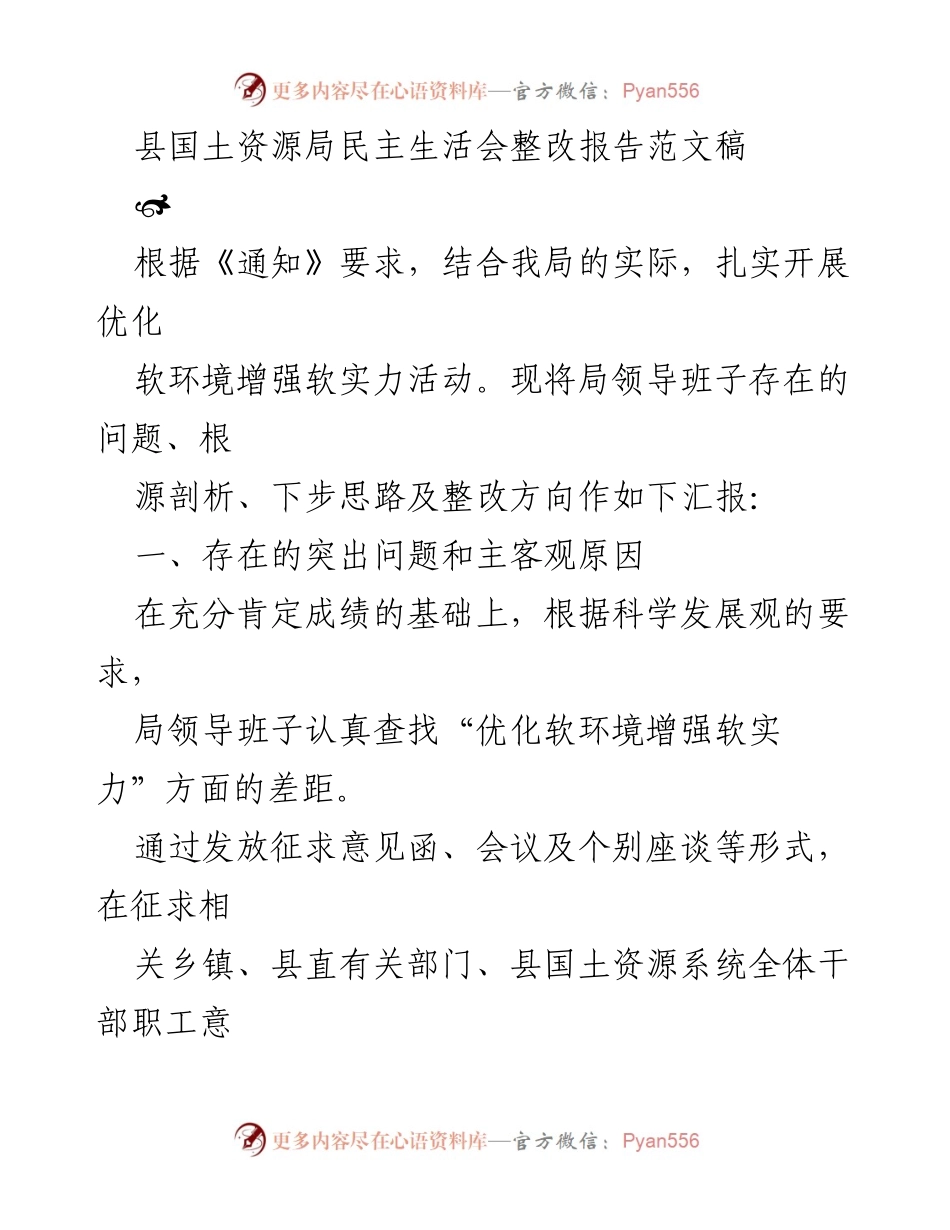 [整改报告] 民主生活会 - 县国土资源局整改措施与存在问题分析.docx_第1页