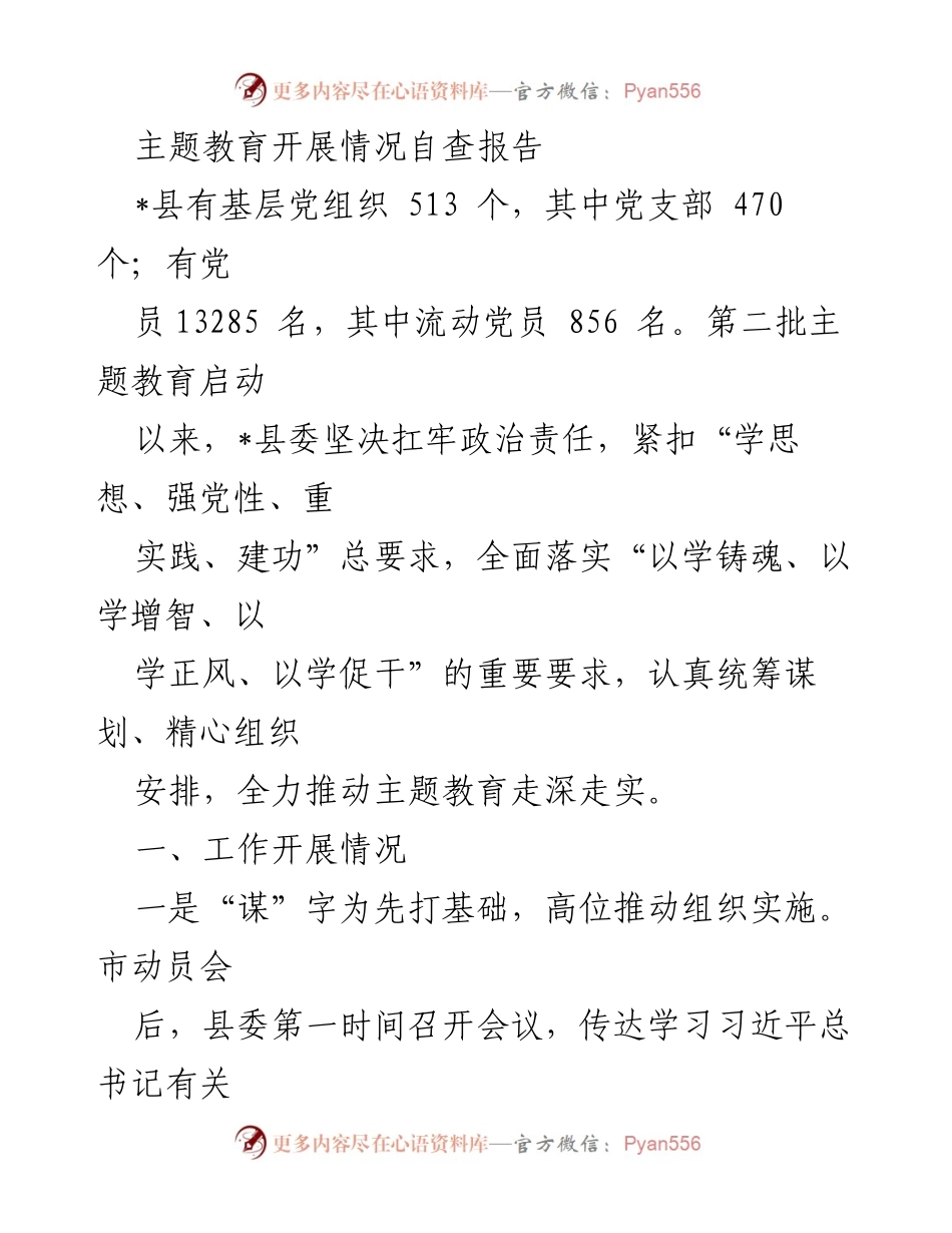 [自查报告] 主题教育 - 主题教育开展情况自查报告.docx_第1页