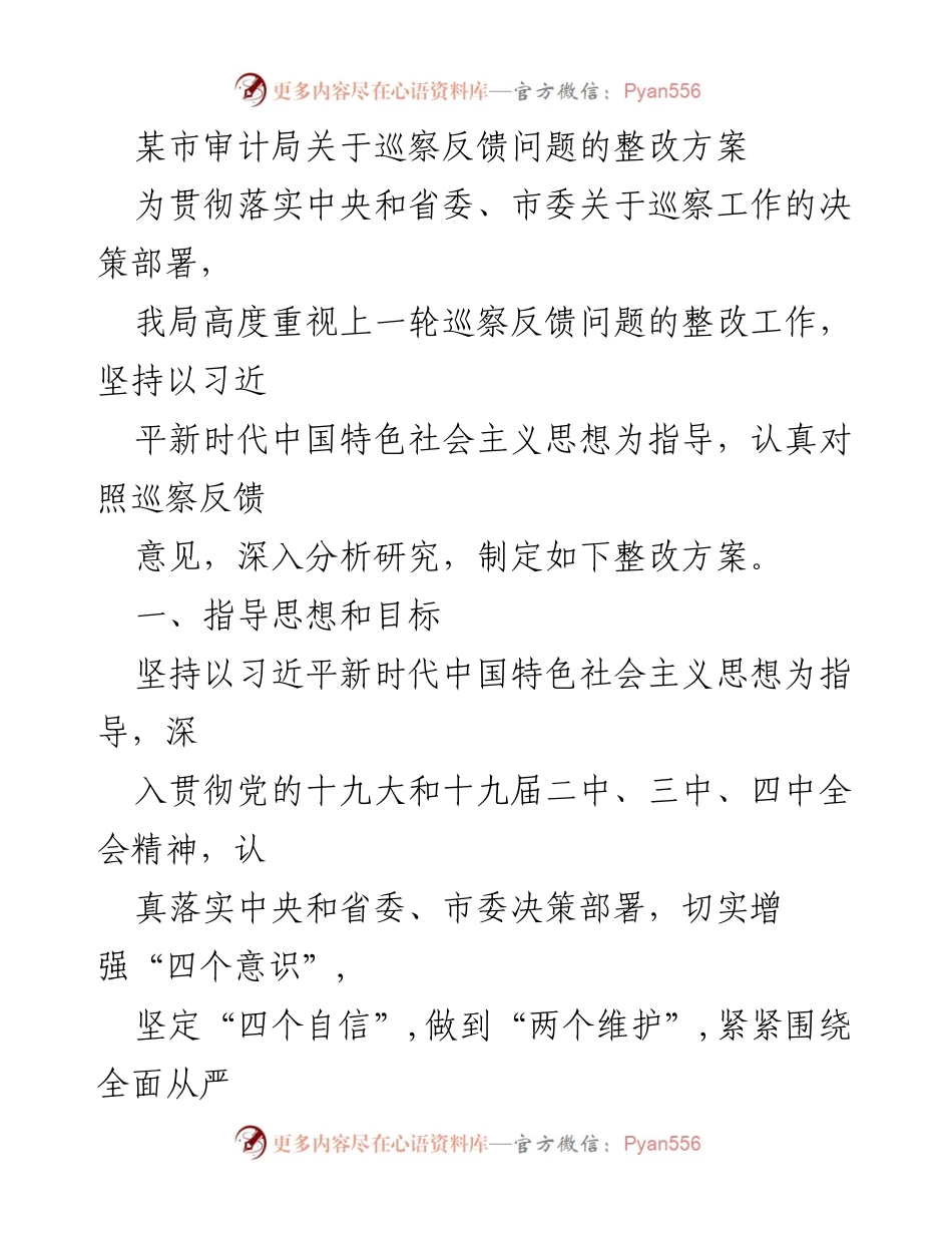 [整改方案] 审计局 - 巡察反馈问题整改实施方案.docx_第1页