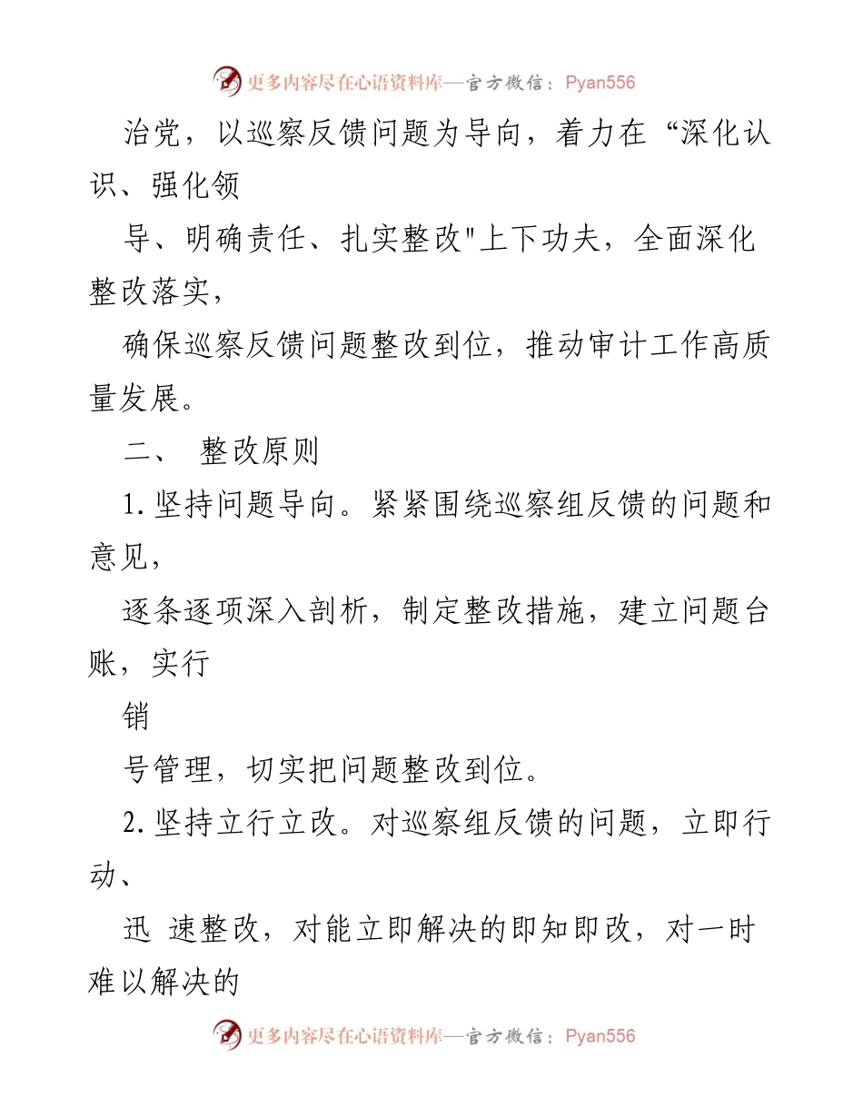 [整改方案] 审计局 - 巡察反馈问题整改实施方案.docx_第2页