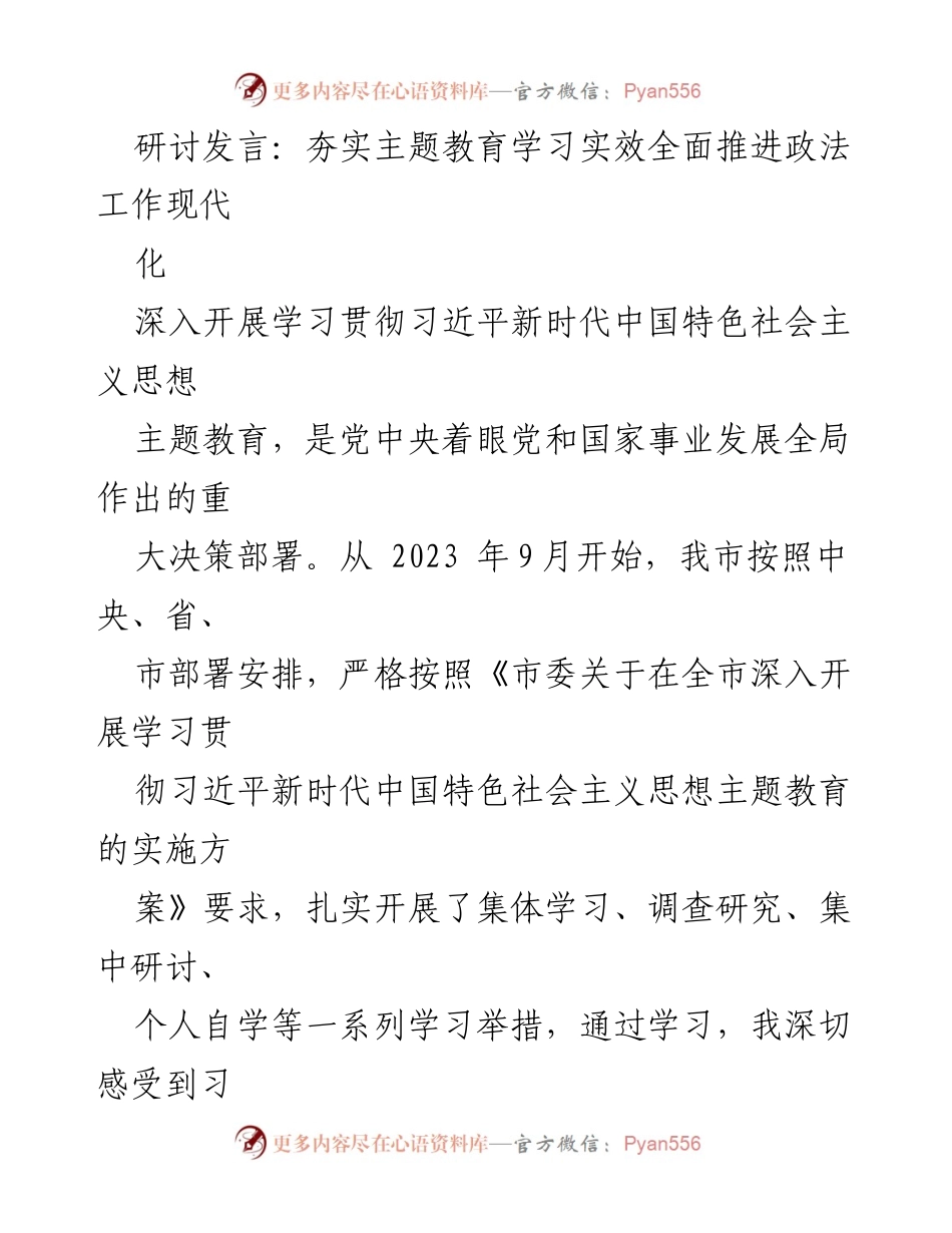 [研讨发言] 政法工作会议 - 夯实主题教育学习实效，推进政法工作现代化.docx_第1页