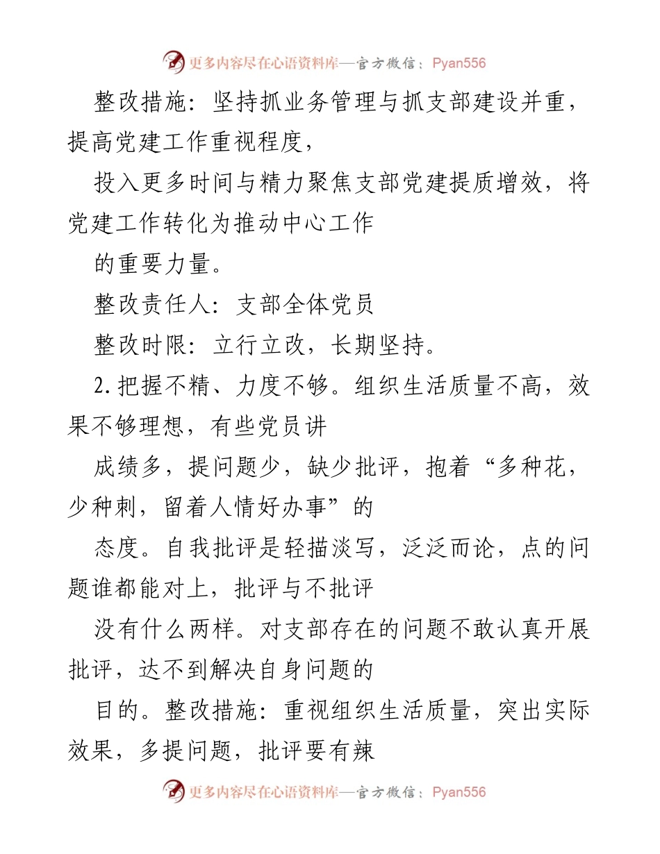 [整改清单] 党支部年度组织生活会 - 2022年度党支部组织生活会整改清单.docx_第2页