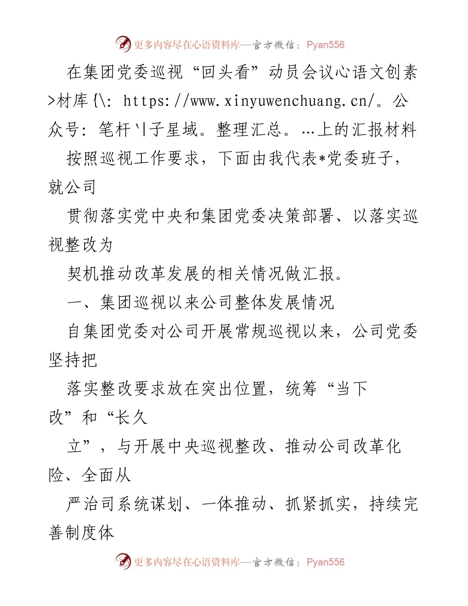 [汇报材料] 动员会议 - 集团党委巡视整改工作进展汇报.docx_第1页