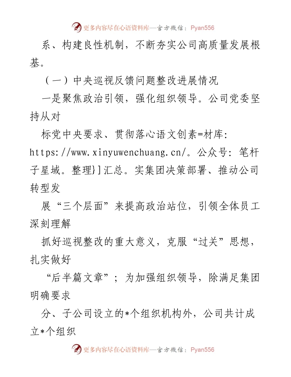 [汇报材料] 动员会议 - 集团党委巡视整改工作进展汇报.docx_第2页